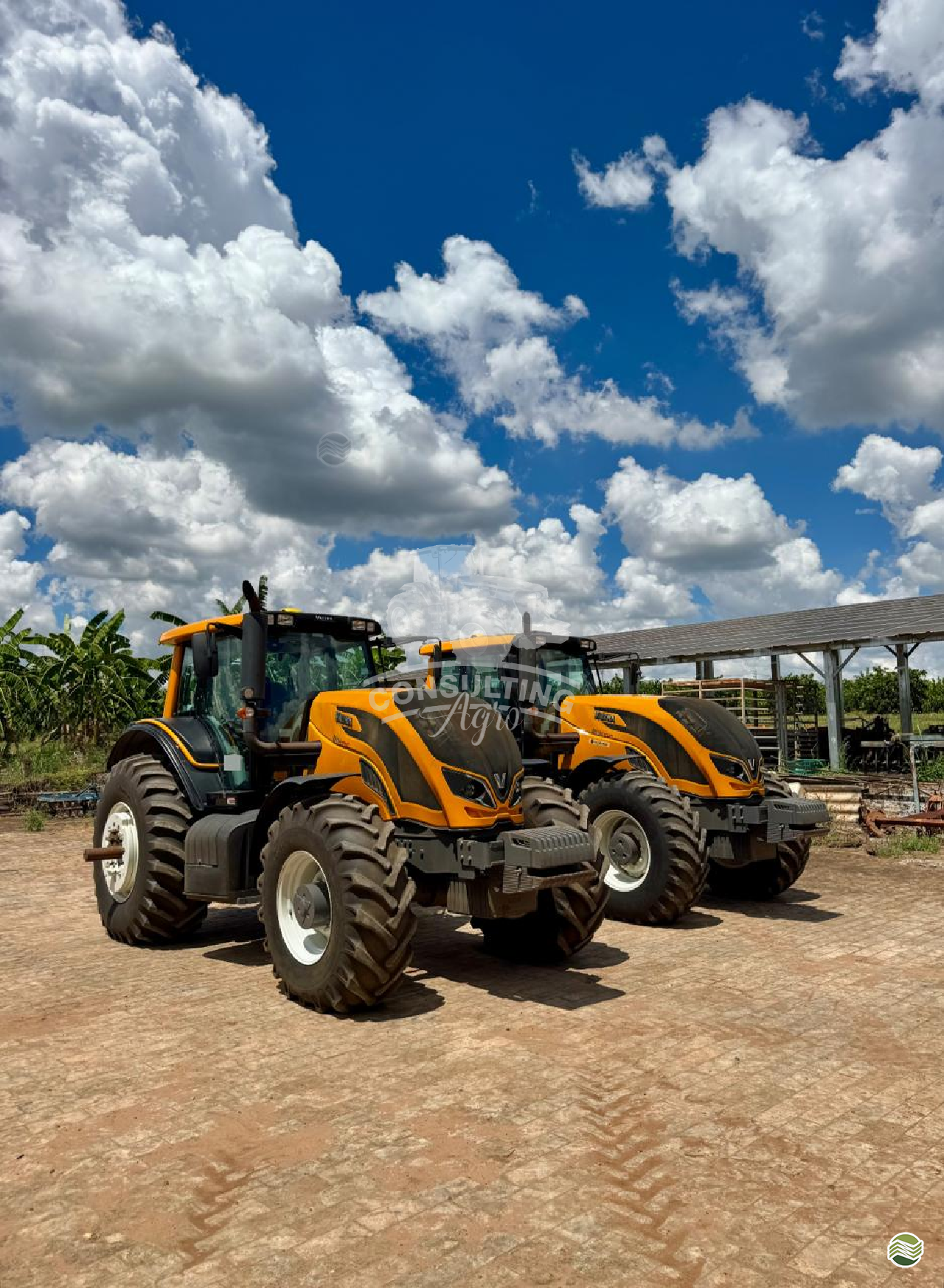 TRATOR VALTRA VALTRA BH 194 HiTech Tração 4x4 Consulting Agro ITUVERAVA SÃO PAULO SP